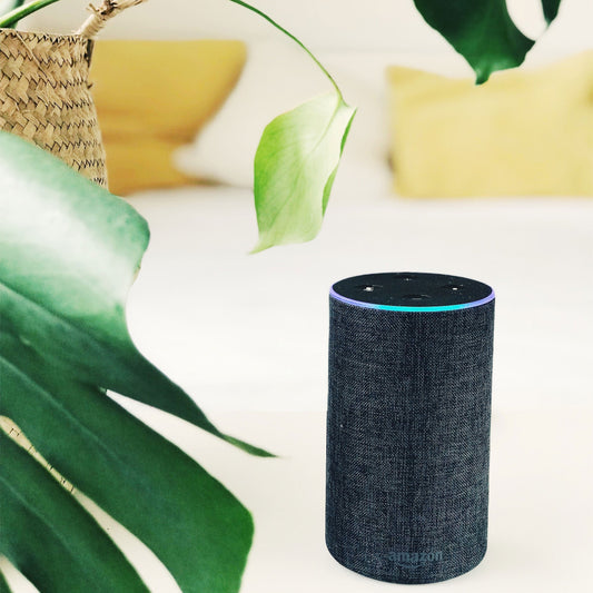 Alexa, should we be using voice tech for marketing?