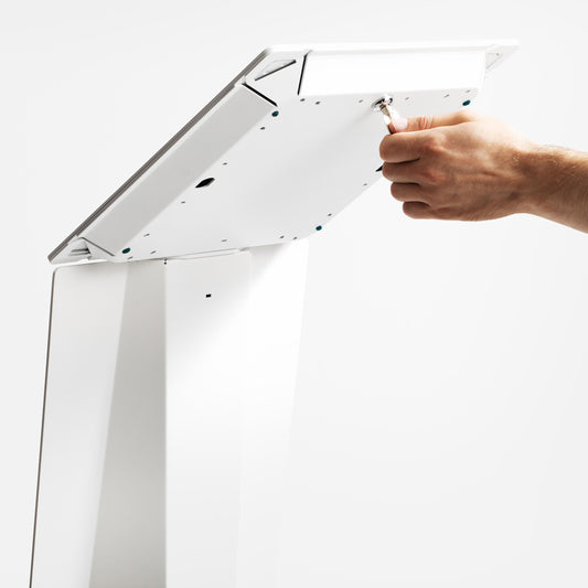 Lock and Pair of Keys for Wing